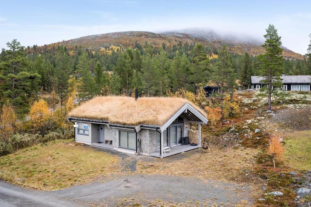 The Cabin At Lemonsjoen Jotunheimen Villa Randsverk ภายนอก รูปภาพ