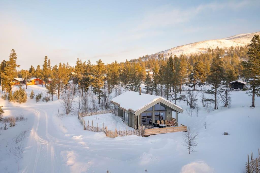 The Cabin At Lemonsjoen Jotunheimen Villa Randsverk ภายนอก รูปภาพ