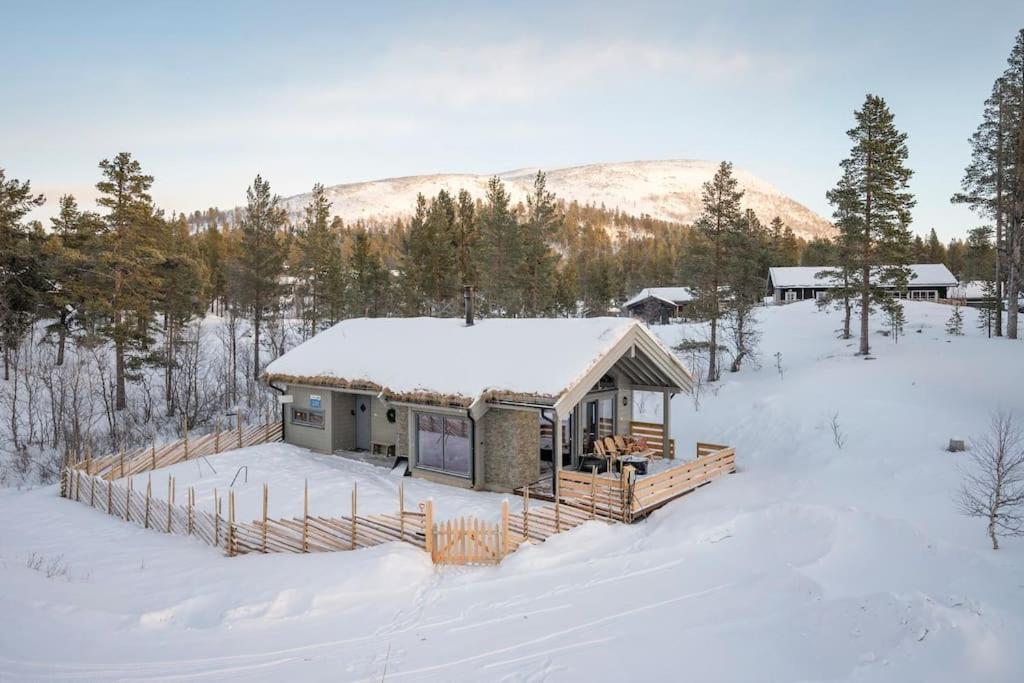 The Cabin At Lemonsjoen Jotunheimen Villa Randsverk ภายนอก รูปภาพ